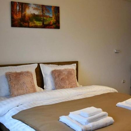 Pricop Residence Baia Mare Zewnętrze zdjęcie