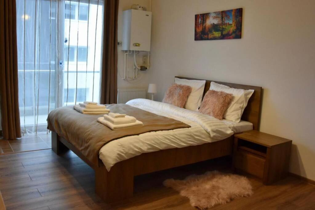 Pricop Residence Baia Mare Zewnętrze zdjęcie