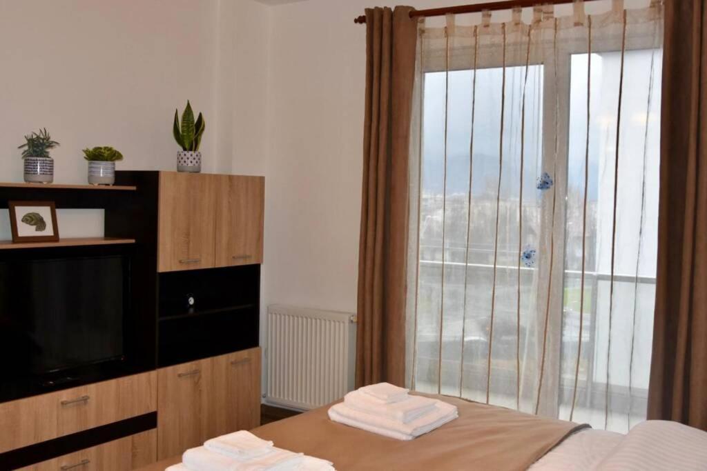 Pricop Residence Baia Mare Zewnętrze zdjęcie