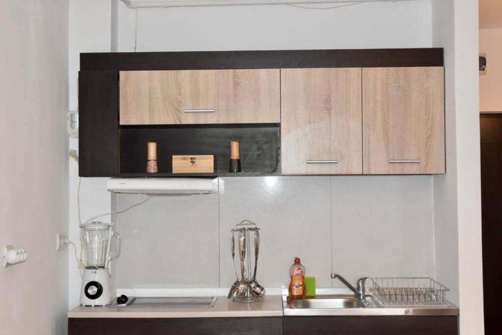 Pricop Residence Baia Mare Zewnętrze zdjęcie
