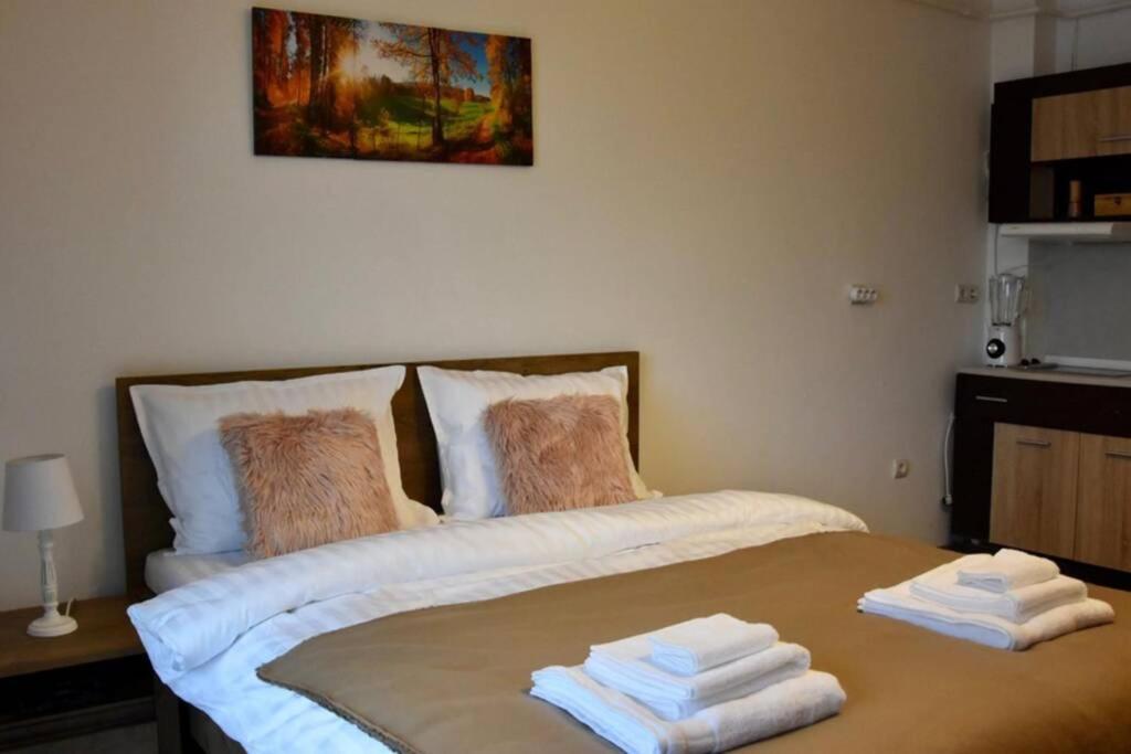 Pricop Residence Baia Mare Zewnętrze zdjęcie