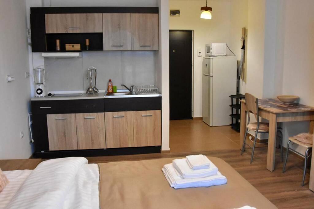 Pricop Residence Baia Mare Zewnętrze zdjęcie